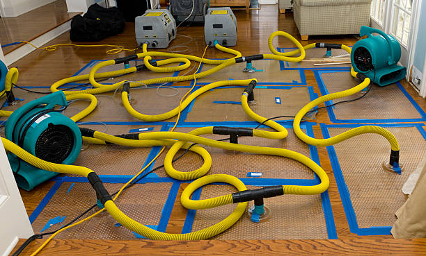 Professional Water Damage Restoration technician working in Nutley, NJ
